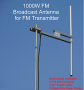 1000W FM Antenna